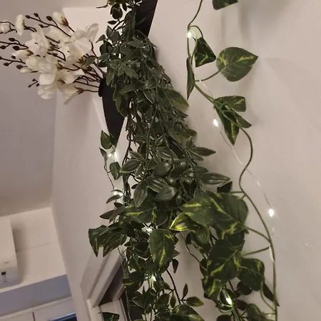 Appartement Eternal House *